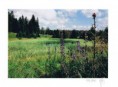 /album/fotogalerie-uvodni-stranka/sumava1-11-fengshui-zdravi-rodinna-harmonie-danajirsakova-jpg/